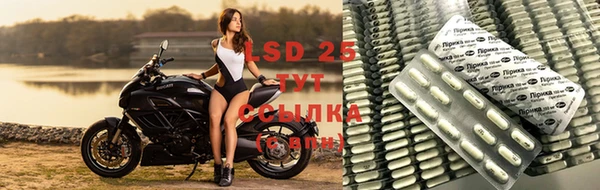 герыч Аркадак