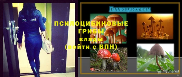 герыч Аркадак