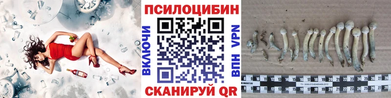 Псилоцибиновые грибы Psilocybine cubensis  дарнет шоп  Миньяр 